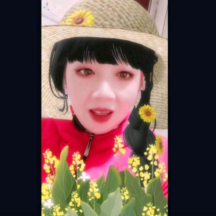 风和日丽好物推荐