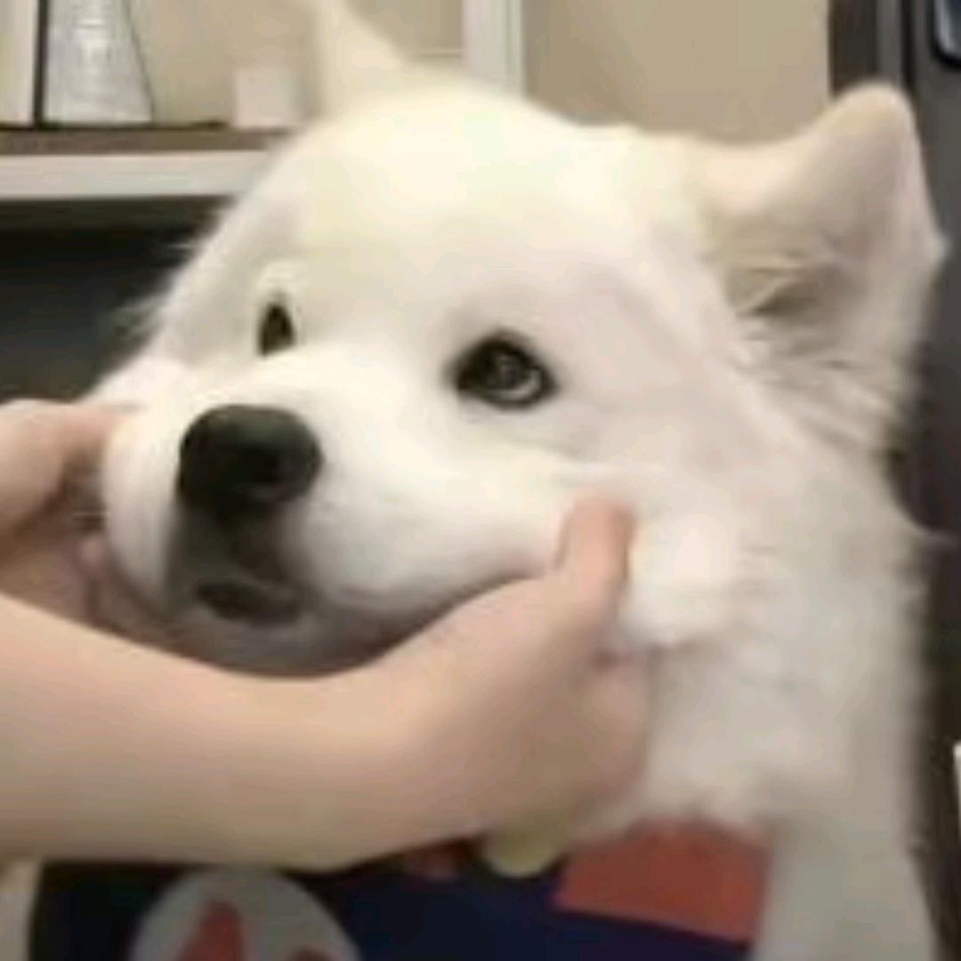饿势力
