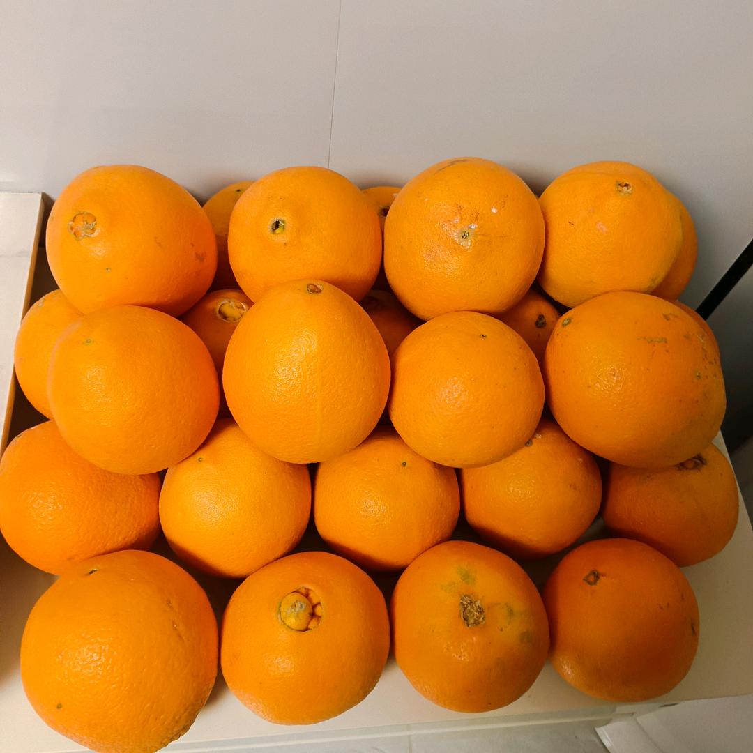 鸿运当头
