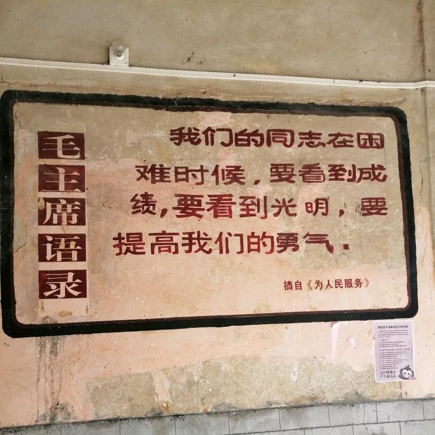 .蓬南东.
