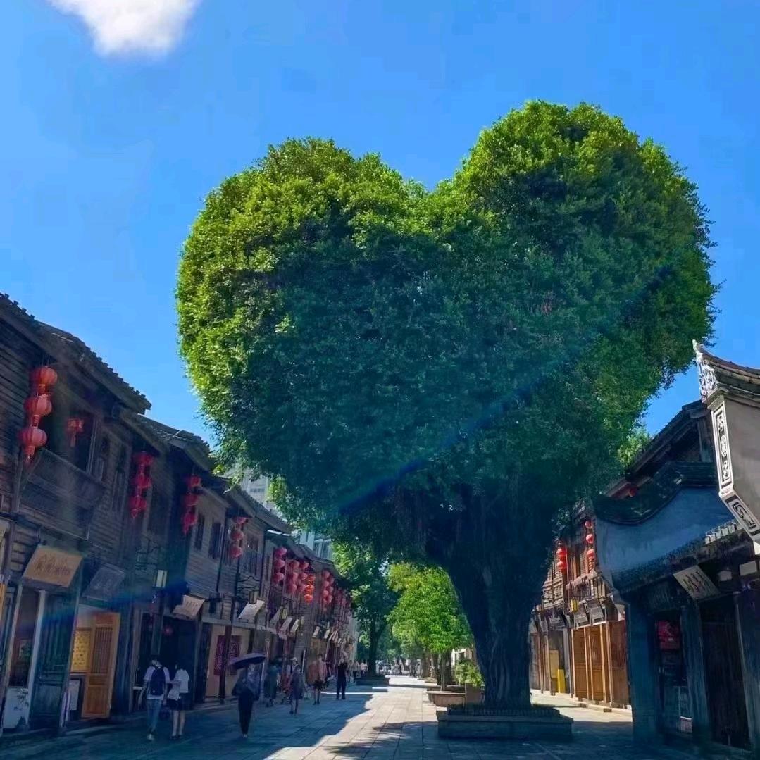 搞笑生活文案馆