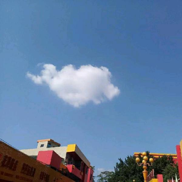 AAA超爱零食小张