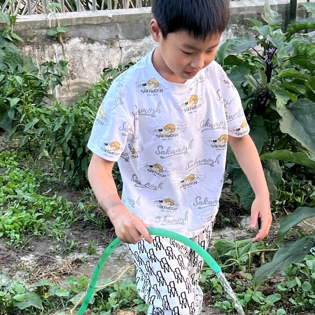 哇哇哇哇哇哇