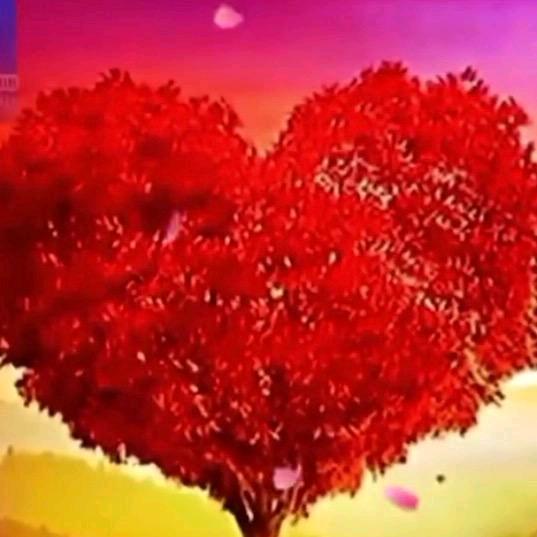 《云❤️南❤️三❤️妹》