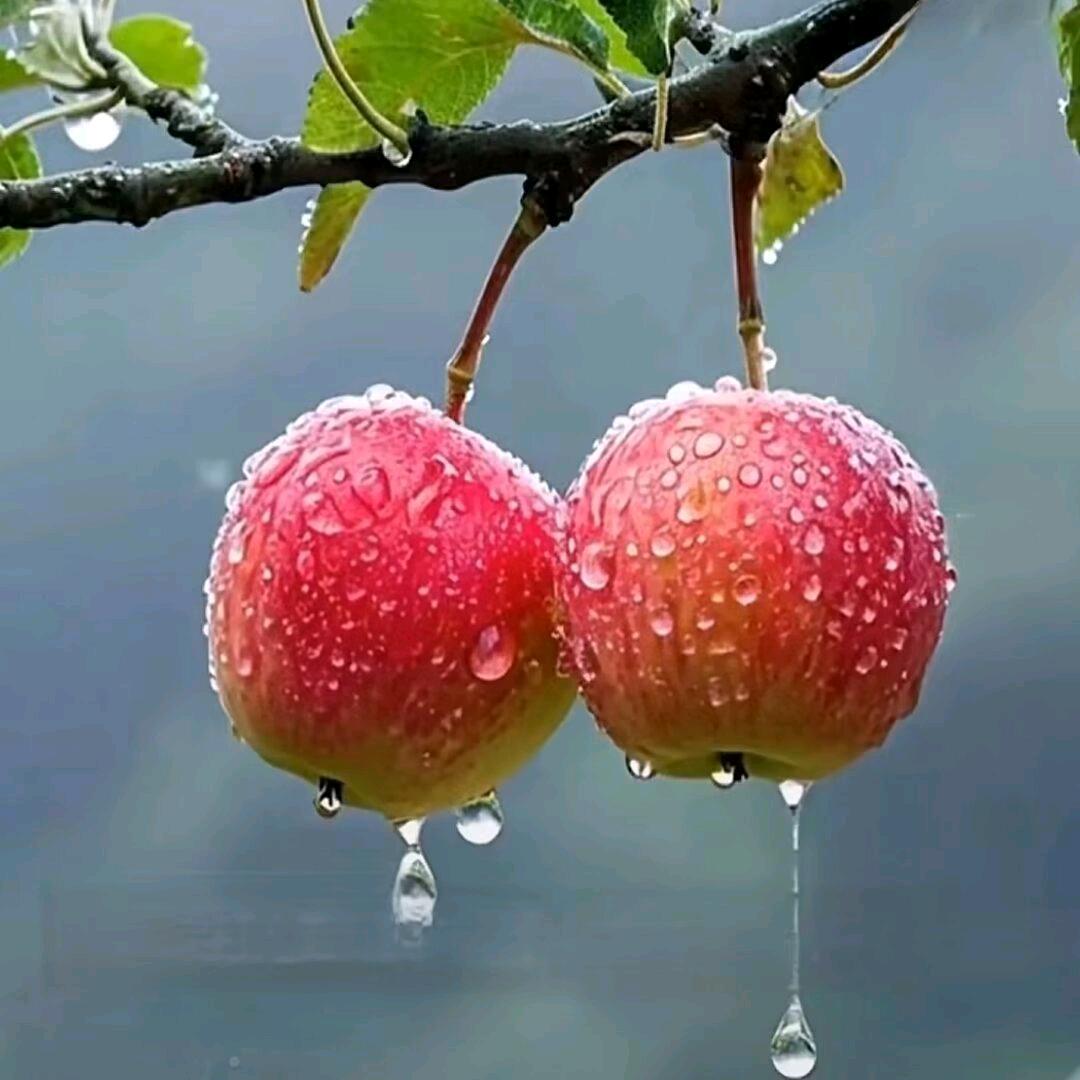 💞娟💕