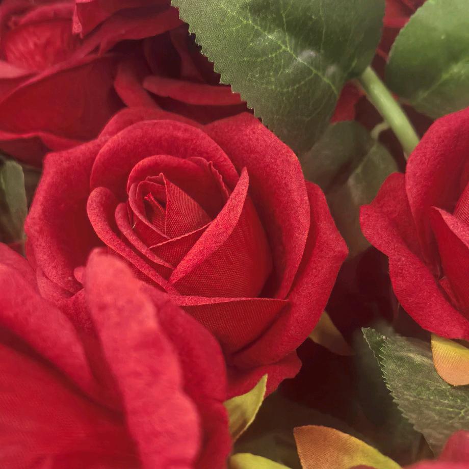 红尘来去一场梦