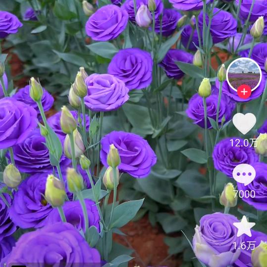 李帅🚀✈️🏎️