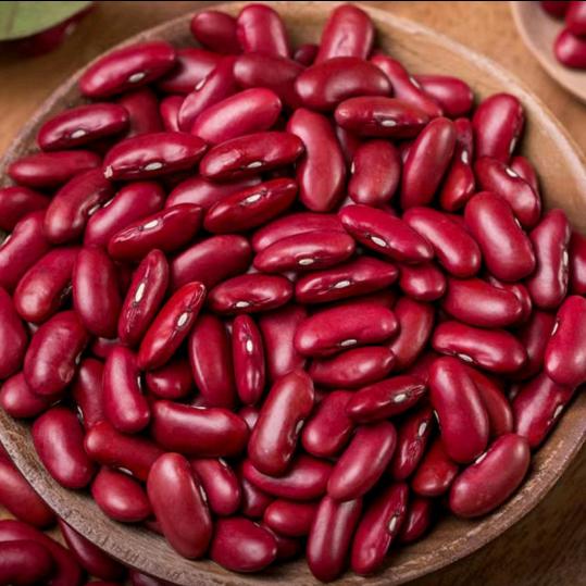 其貌不张杨美人