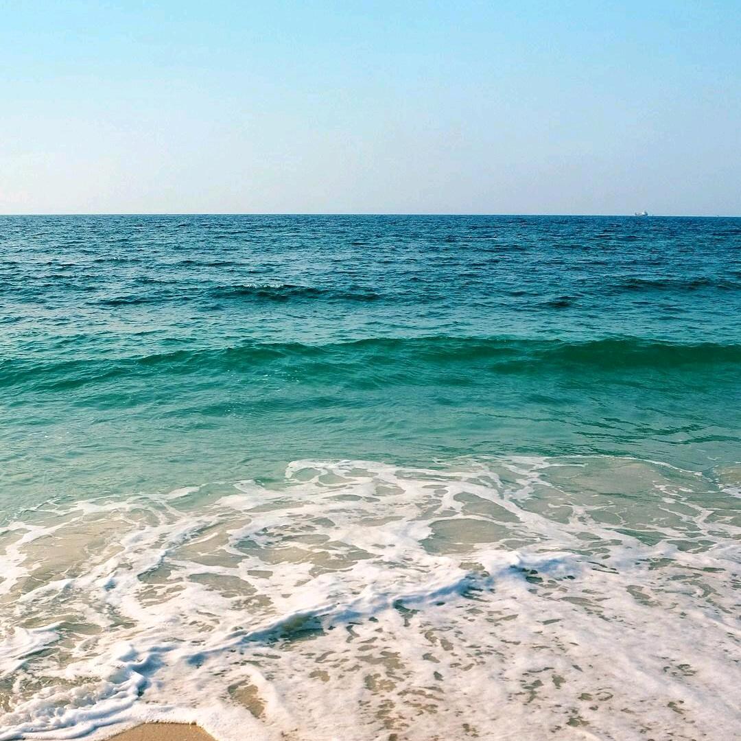 安民（花生种植）🥜