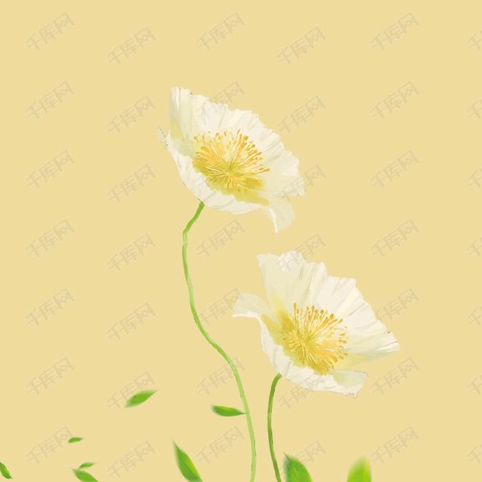 (❁灿烂猫咪❁)*✲ﾟ*