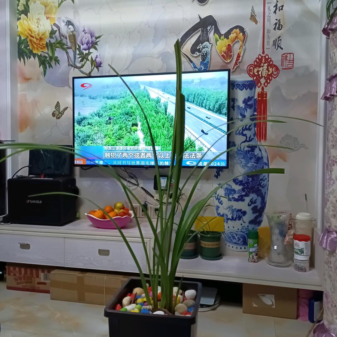 随心