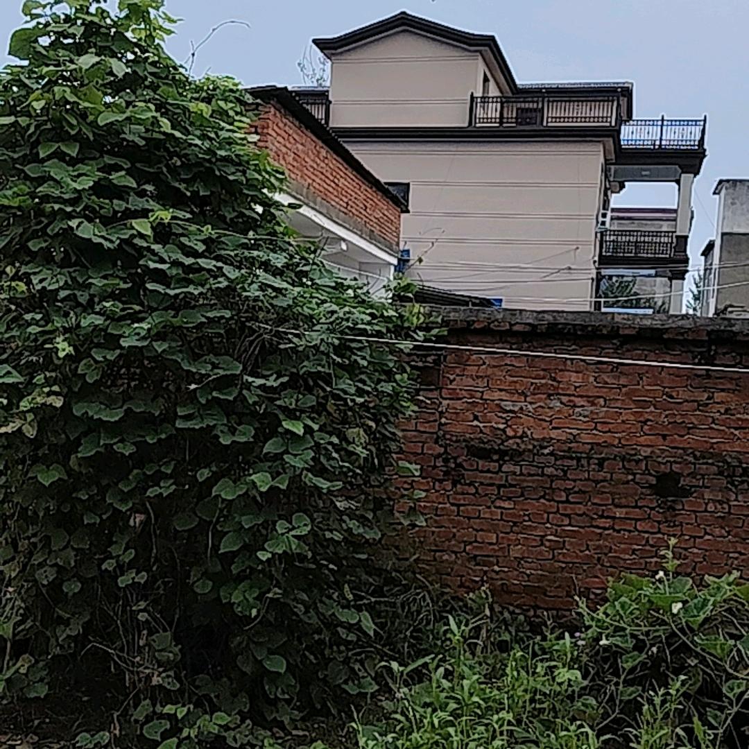 先苦后甜
