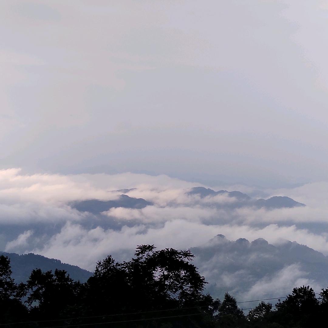 云雨无情飞