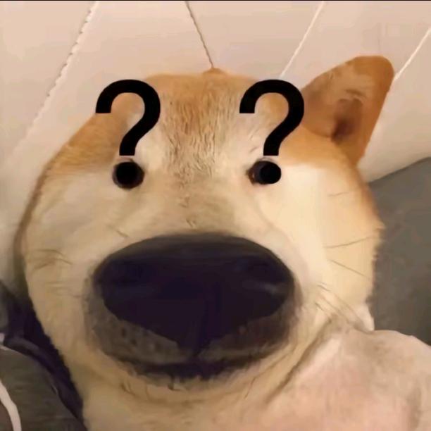 拉布拉驴