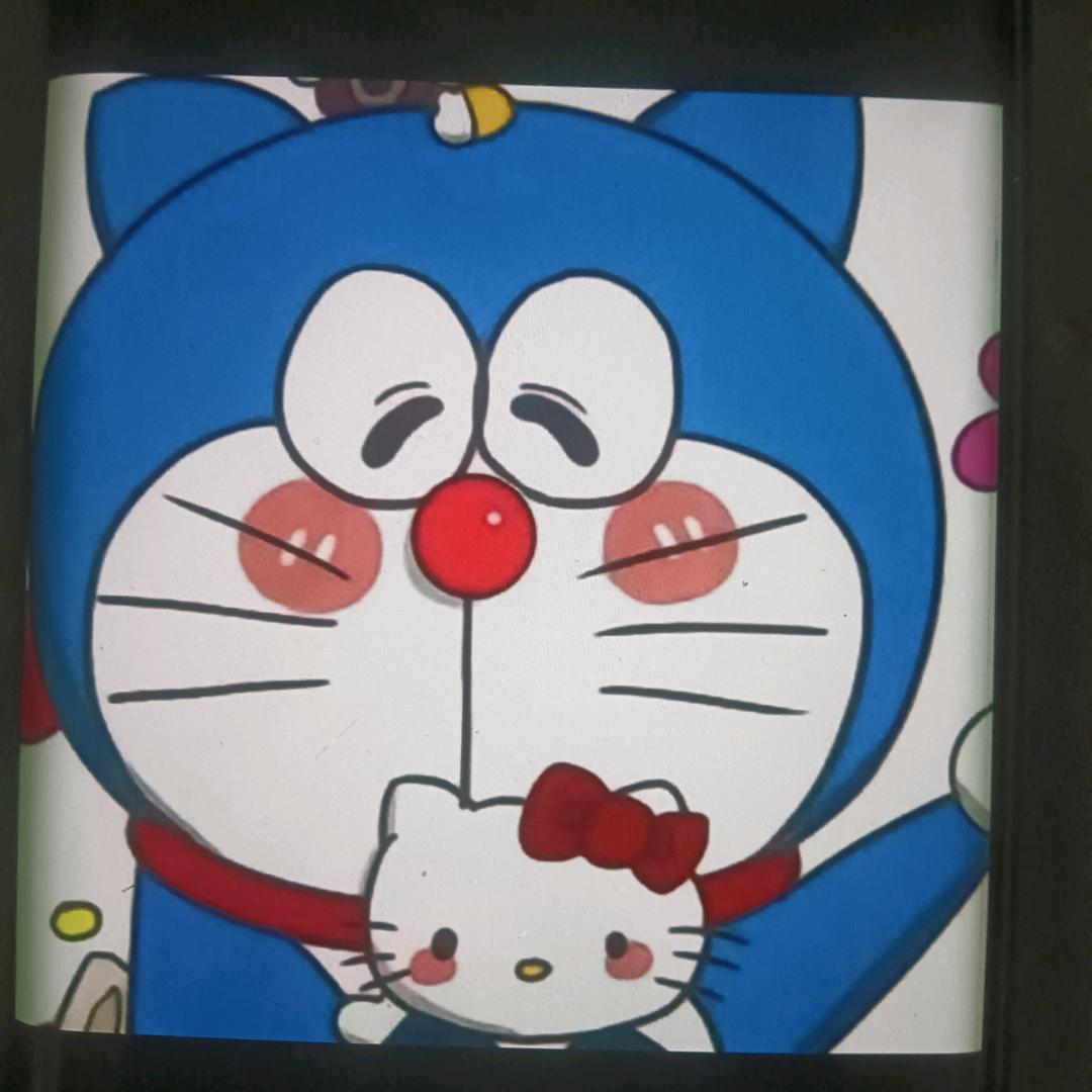 🏇潇洒走一回⚠️