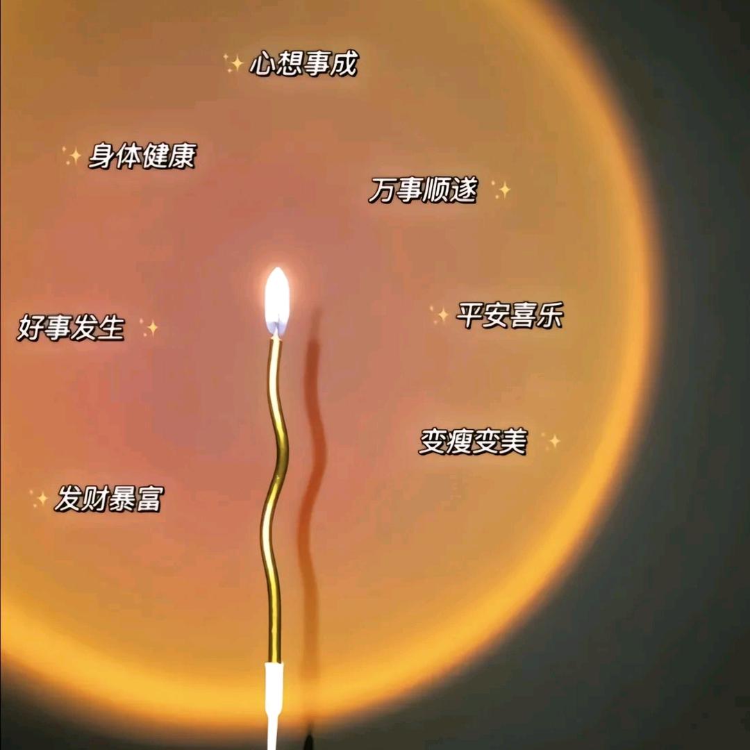 罗家大小姐