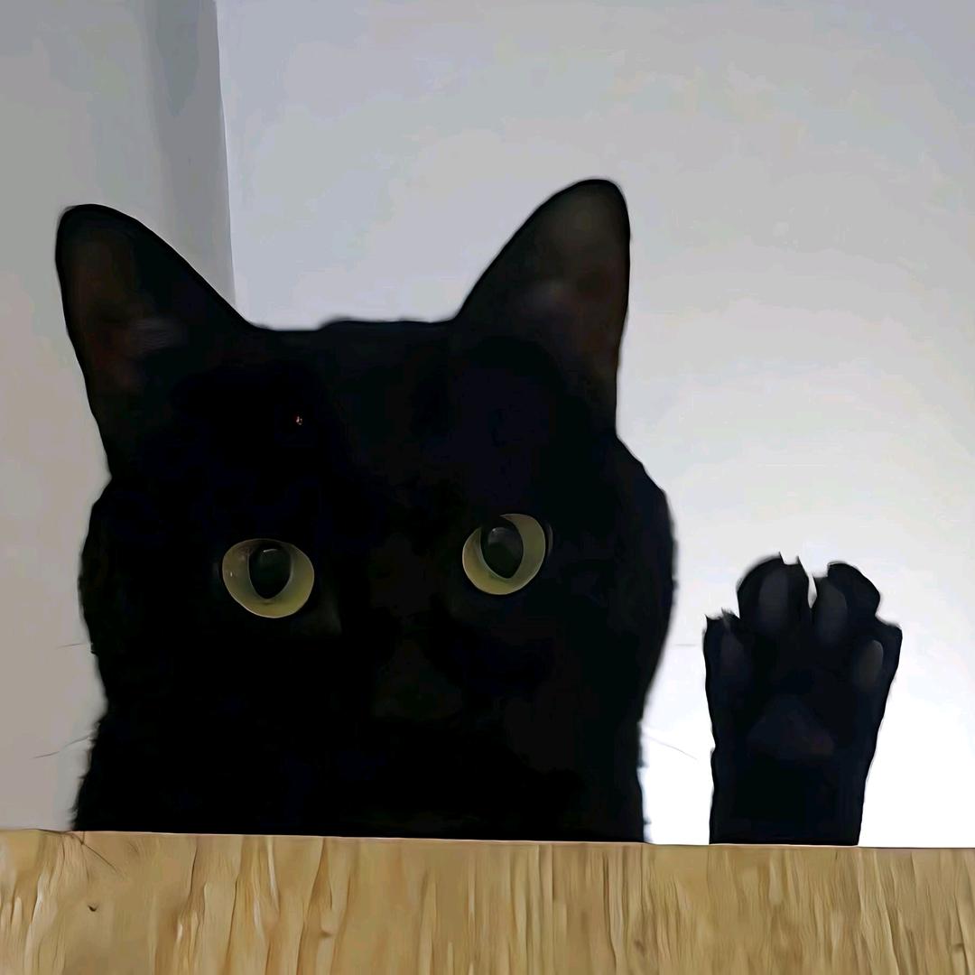 嫔