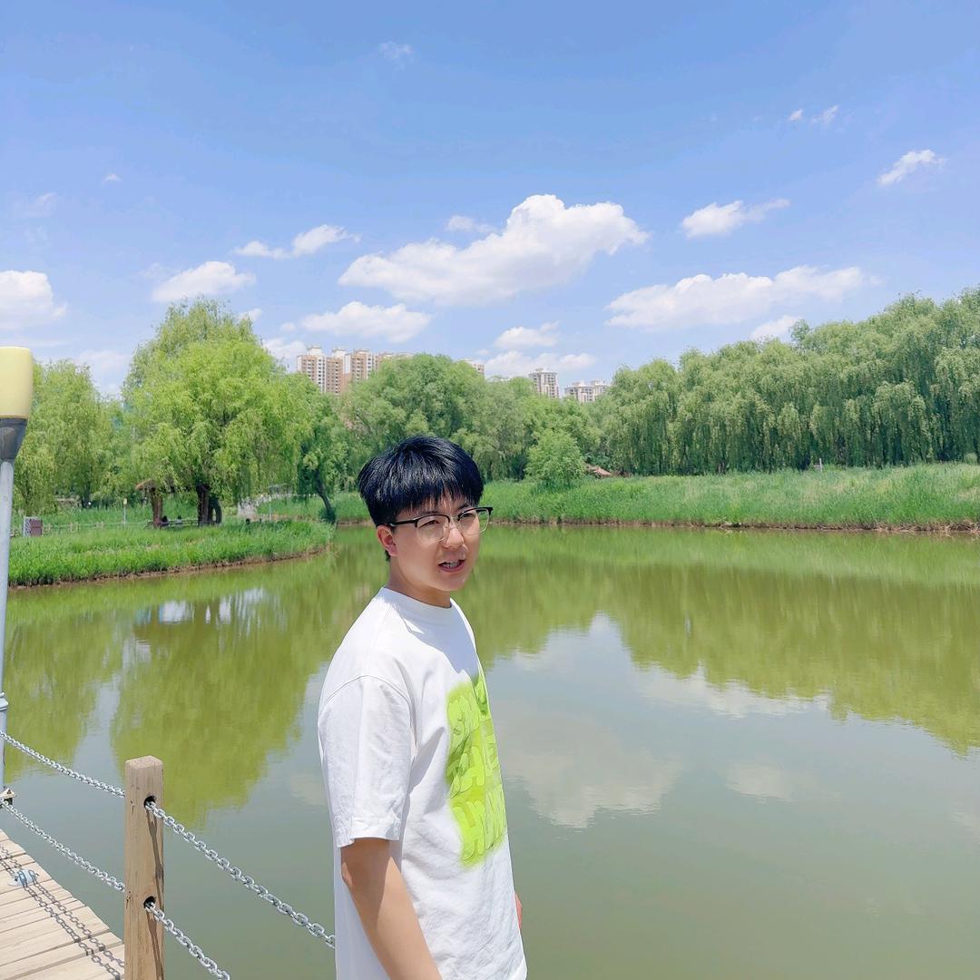小王养生电路图