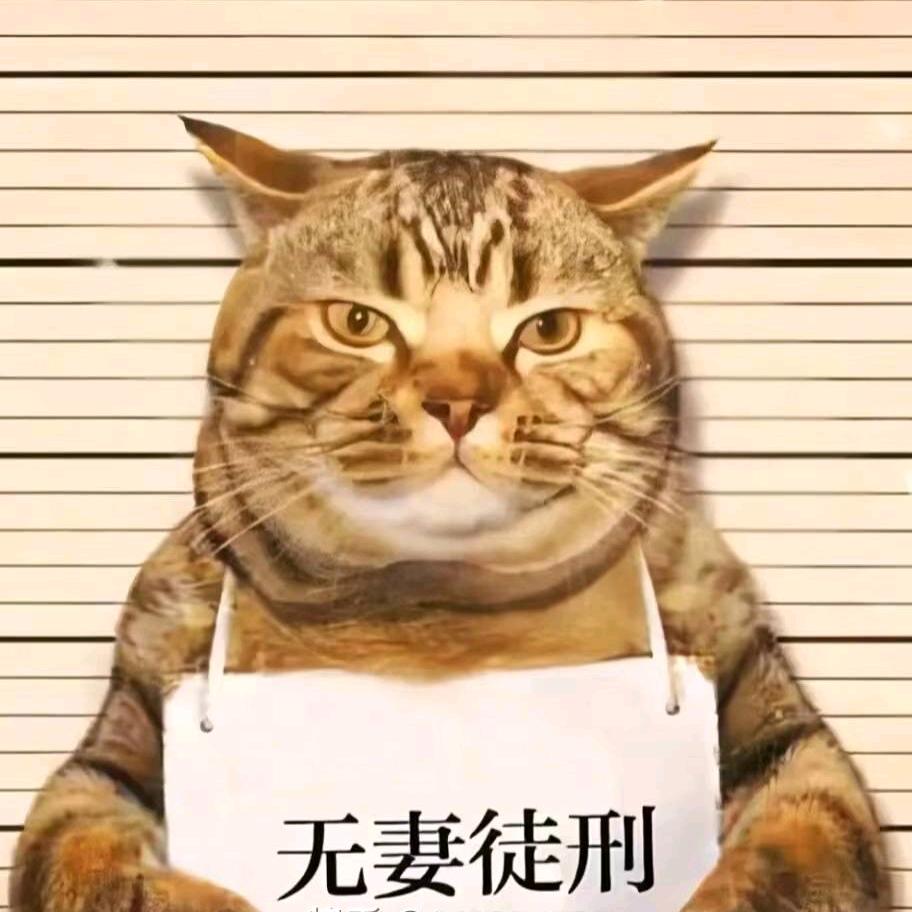 知秋一叶