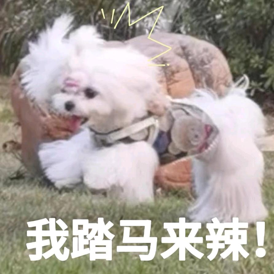 珍珍