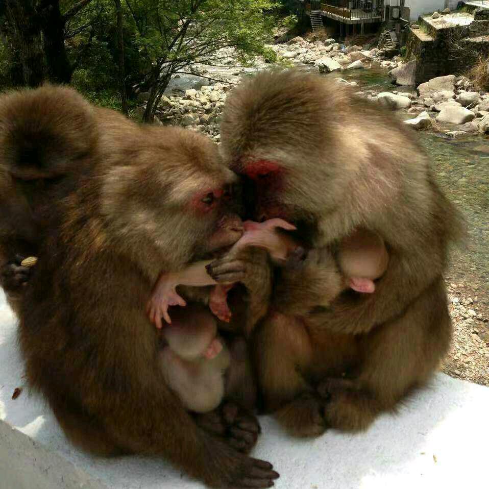 微笑