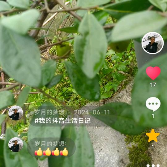 岁月的梦想