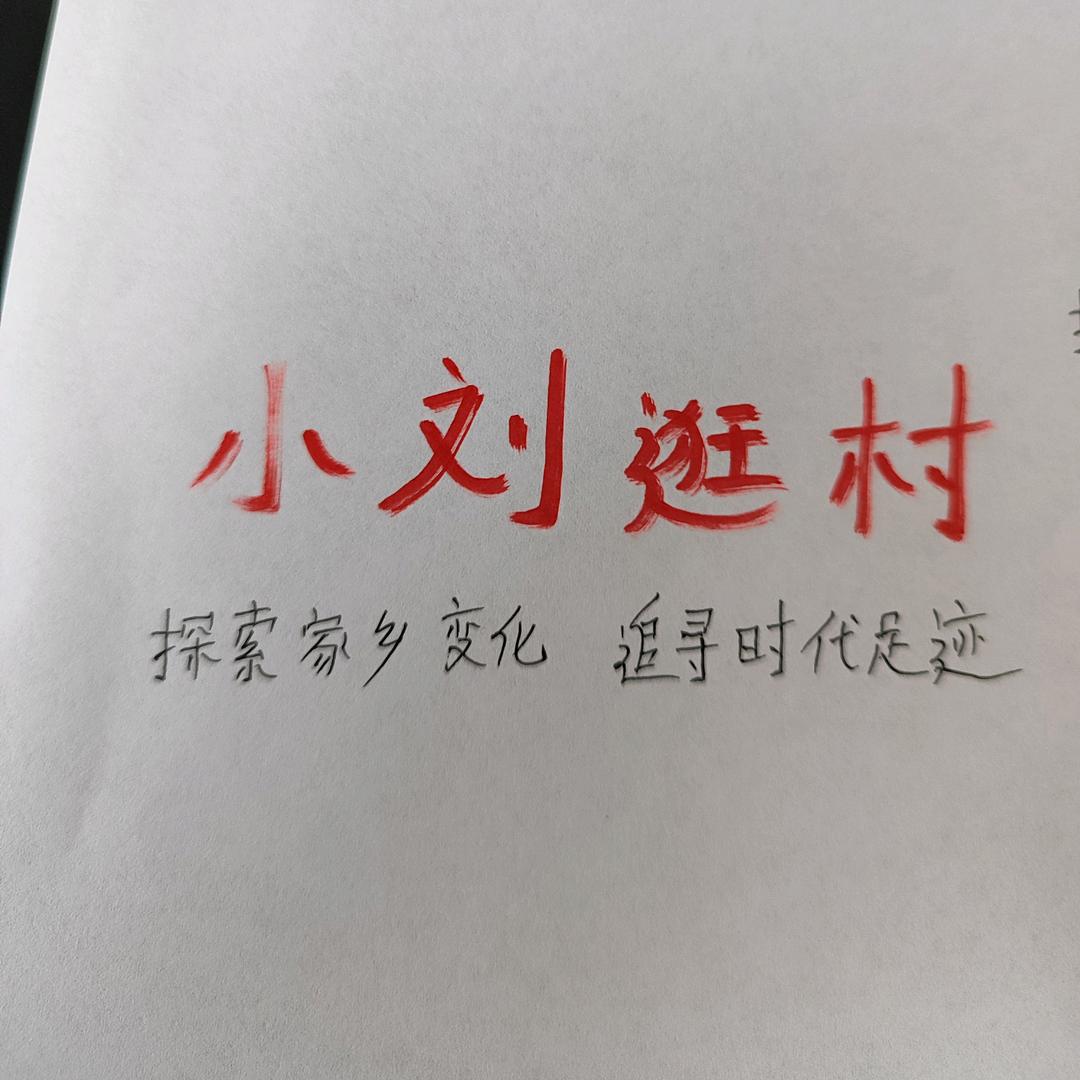 小刘逛村