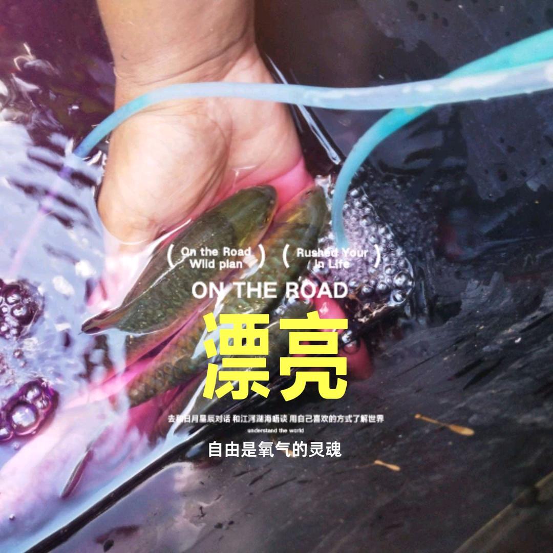 啊强干装卸