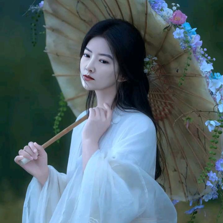 马卡龙🐲
