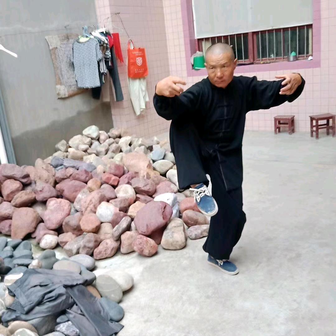 武术飞