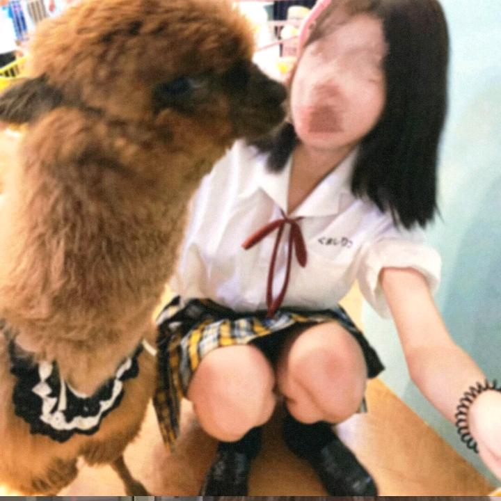 栀绪.
