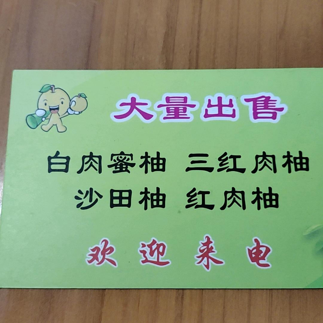 MZ梅州佳佳农家金柚批发