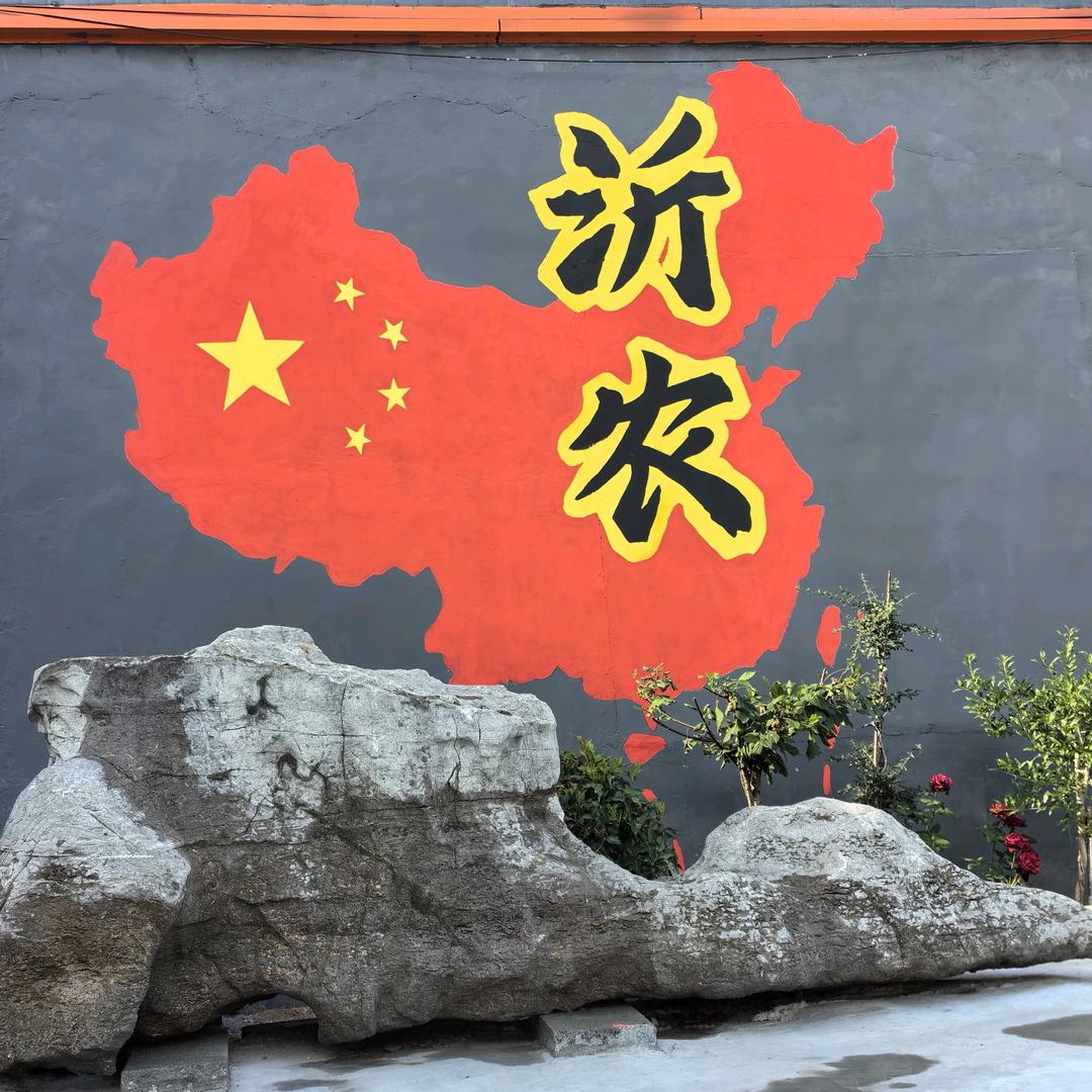 沂农农业 即食板栗