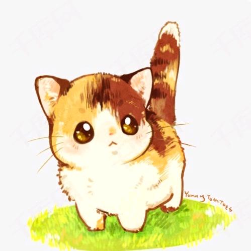 瓶子