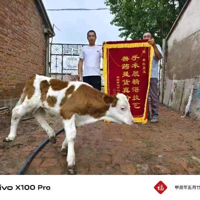 夏兽医