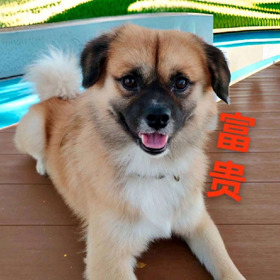70后的梅姐姐
