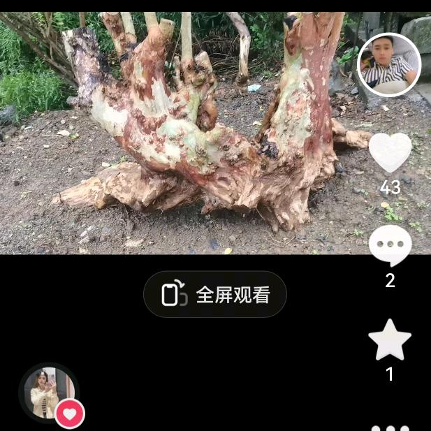 珍惜当前。