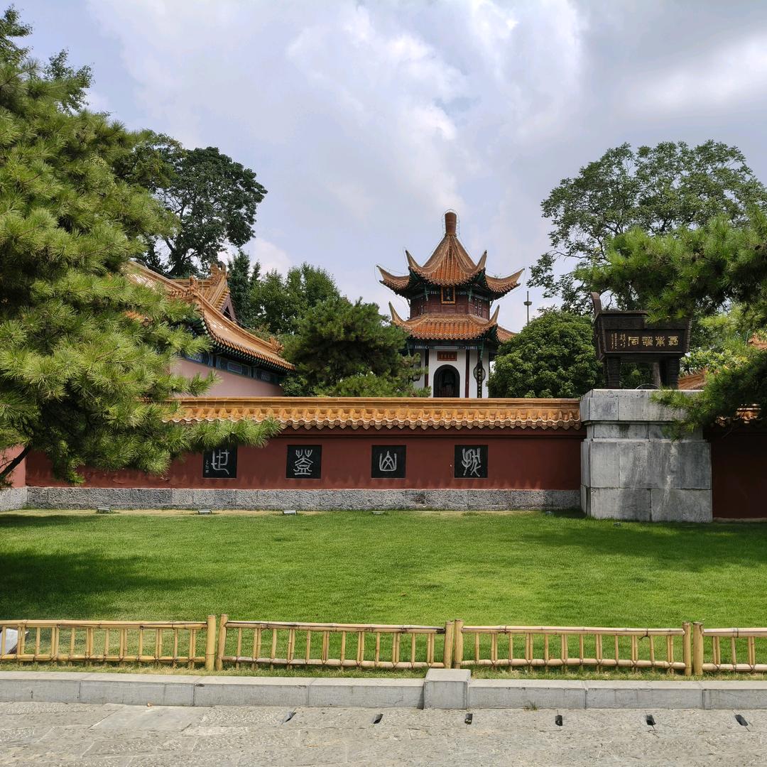细胞核