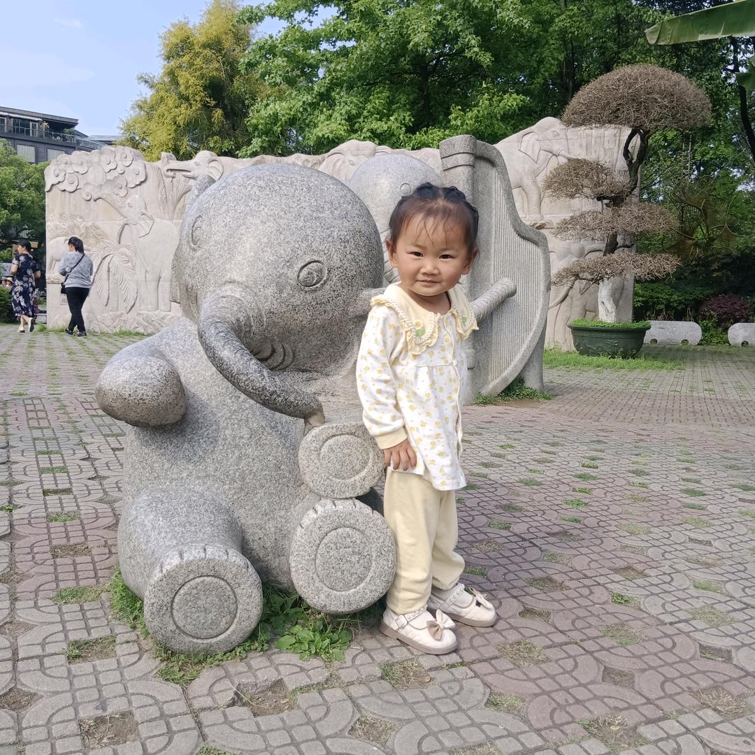 永不凋零蓝莲花