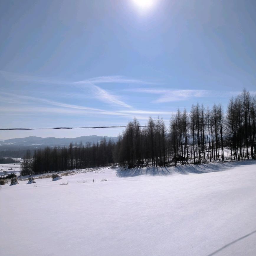长白山燕子特产