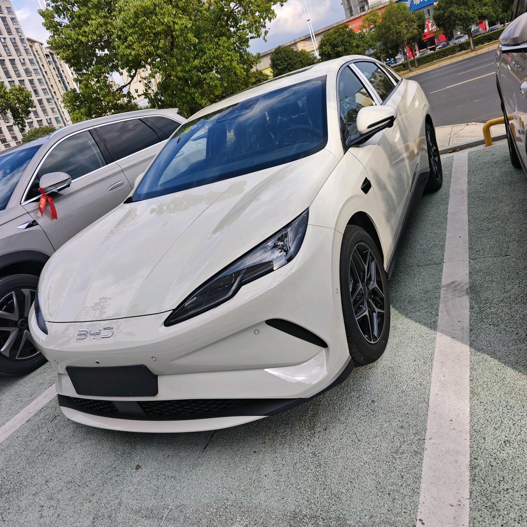 包教会包拿证👍
