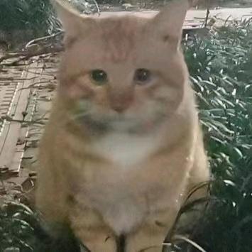 麻辣烫小王子