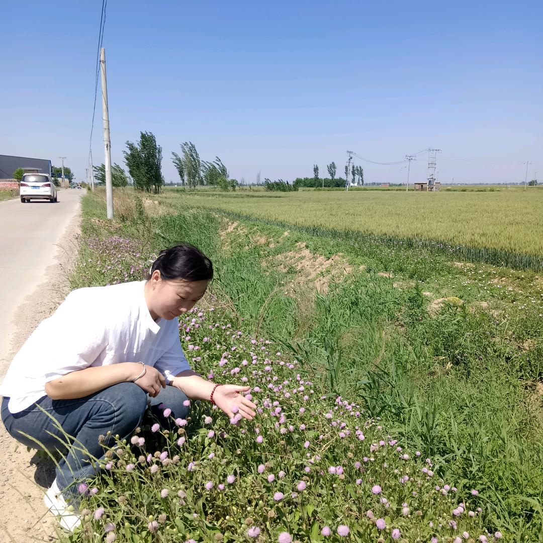 衣然甄选