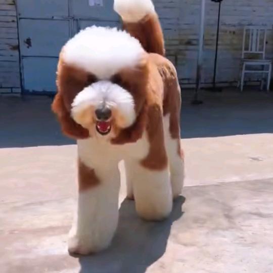 一个人      ❓❓❓