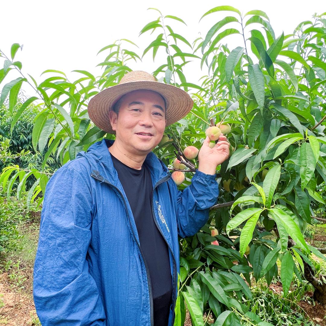 光山冯陈陈  老陈头