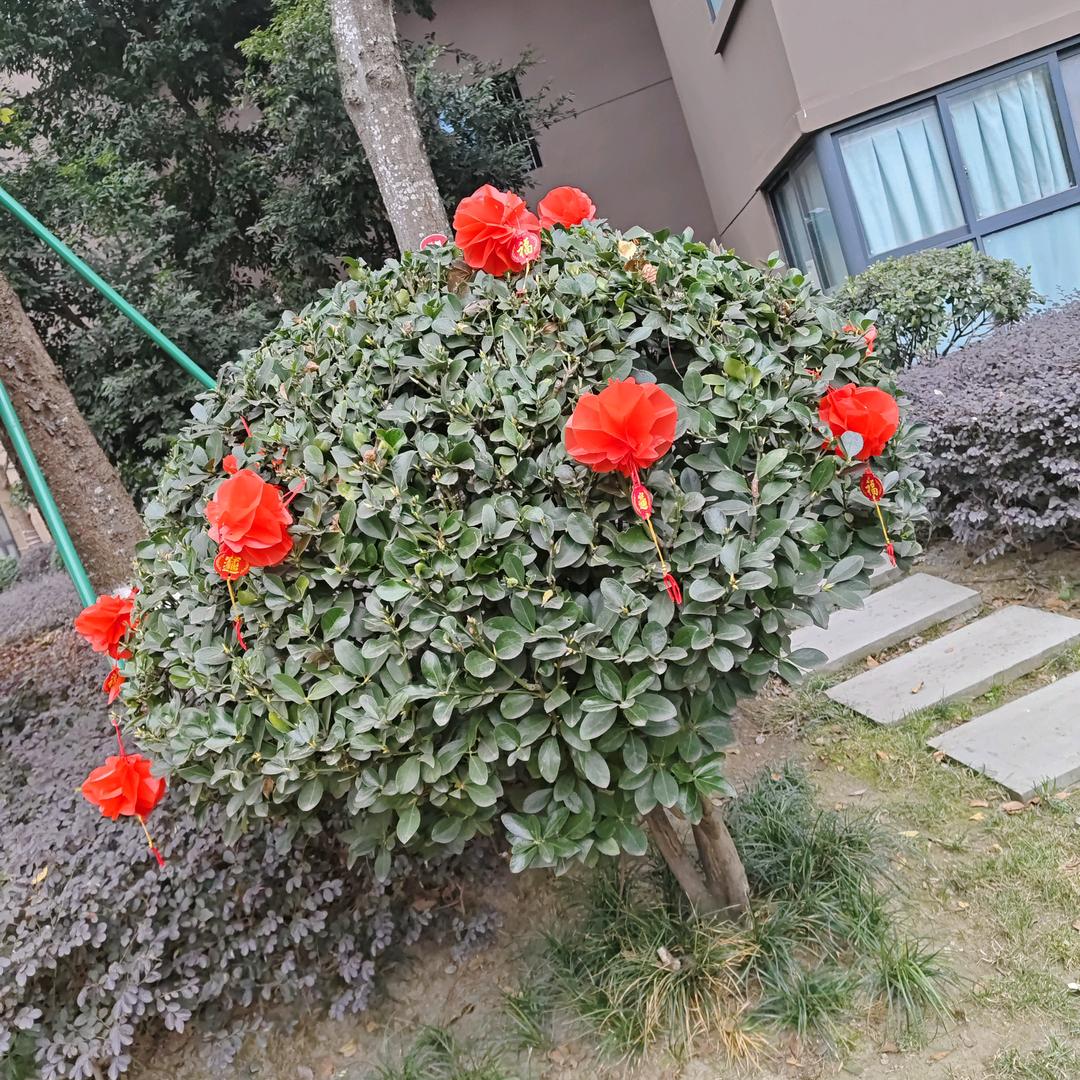 酸甜苦辣
