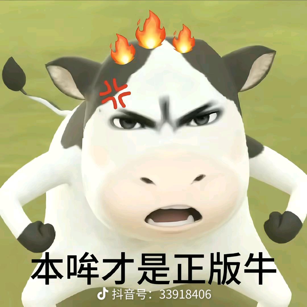 苦寻地球富婆～