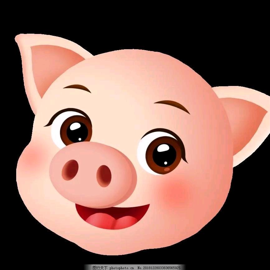 朱哥摄影师日记