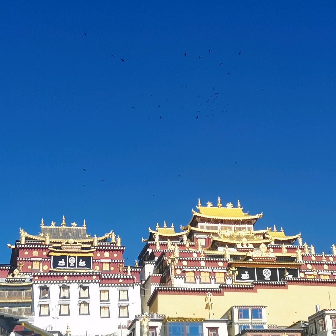 张天天星