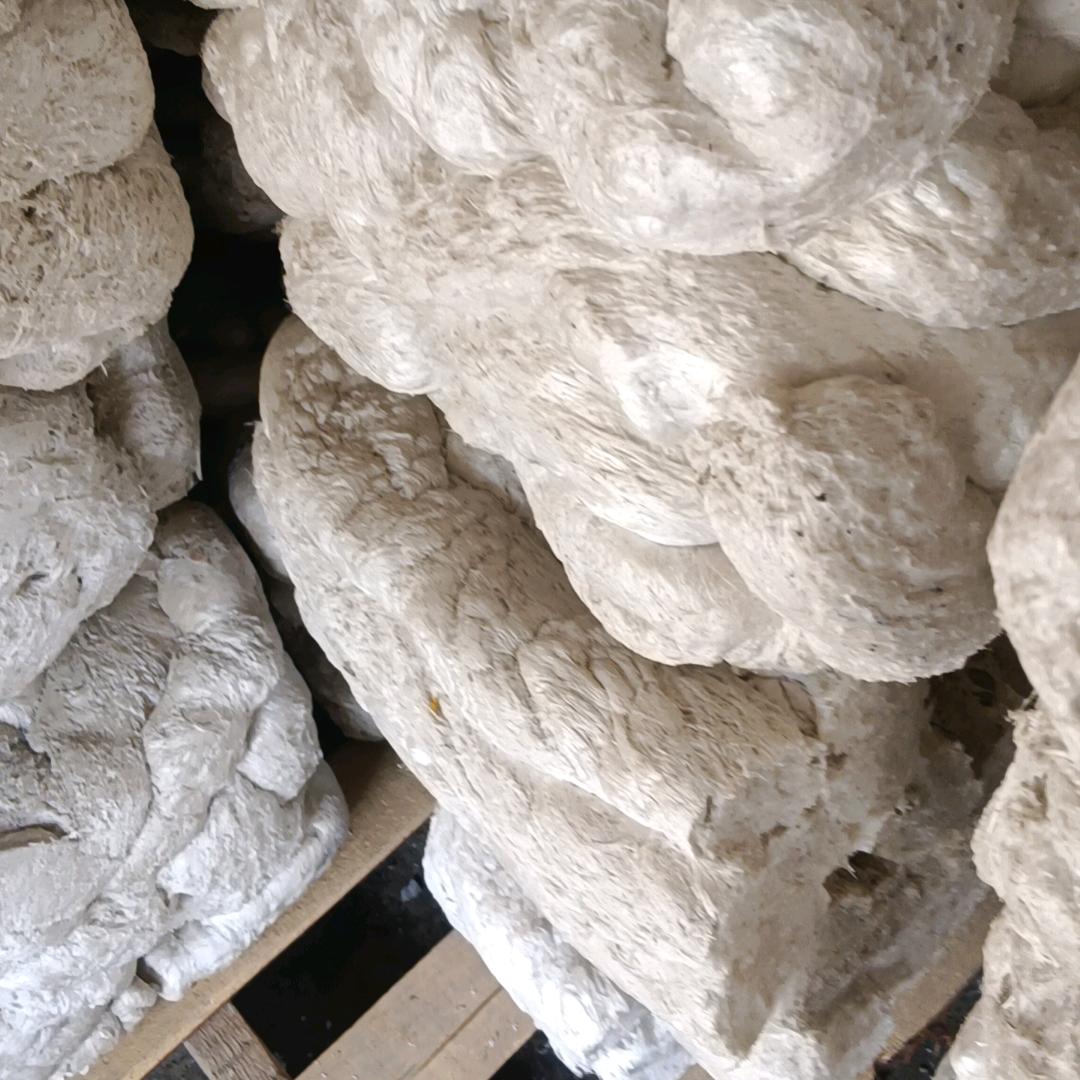 收泡沫130 3194612